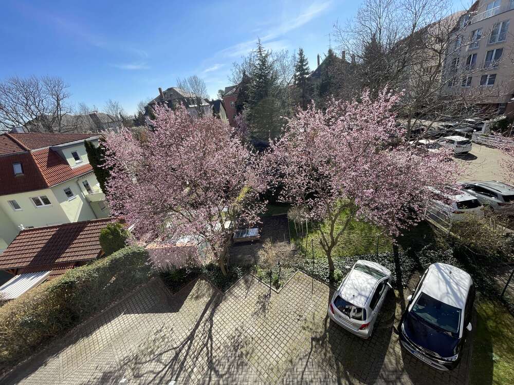 Thumbnail-Wohnung zum Kaufen in Dresden 189.000,00 € 72.47 m²