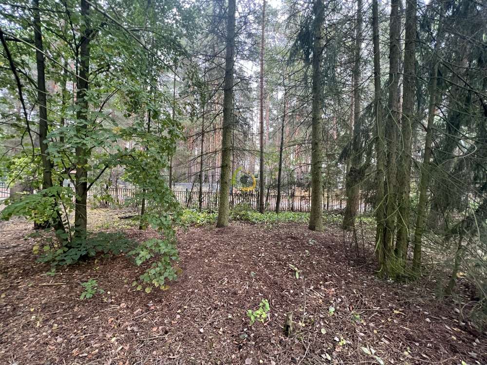 Thumbnail-Grundstück zu verkaufen in Beelitz Fichtenwalde 150.000,00 € 1147 m²