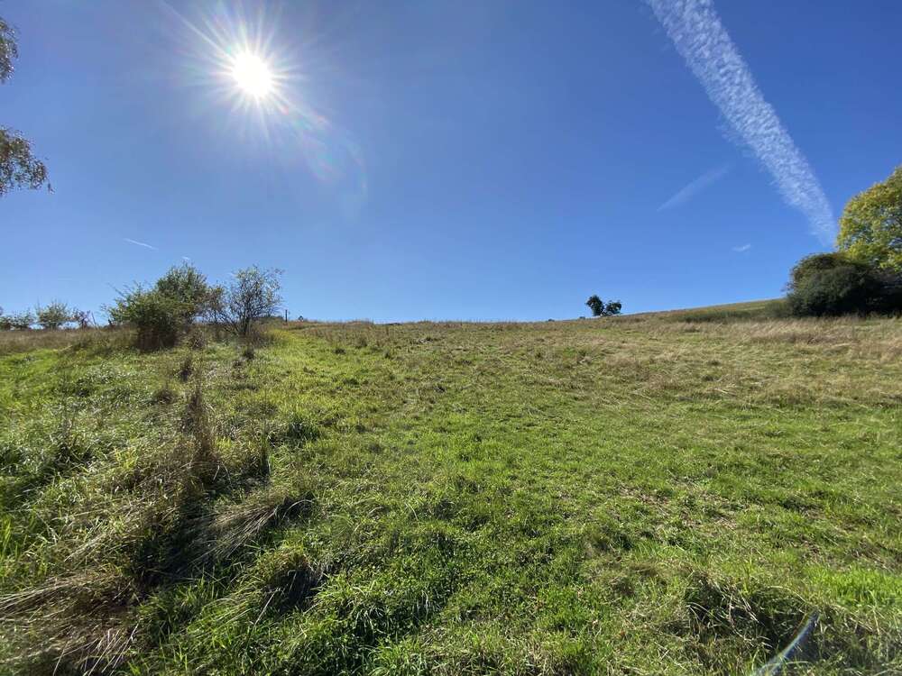 Thumbnail-Haus zum Kaufen in Anschau-Mimbach 595.000,00 € 386 m²