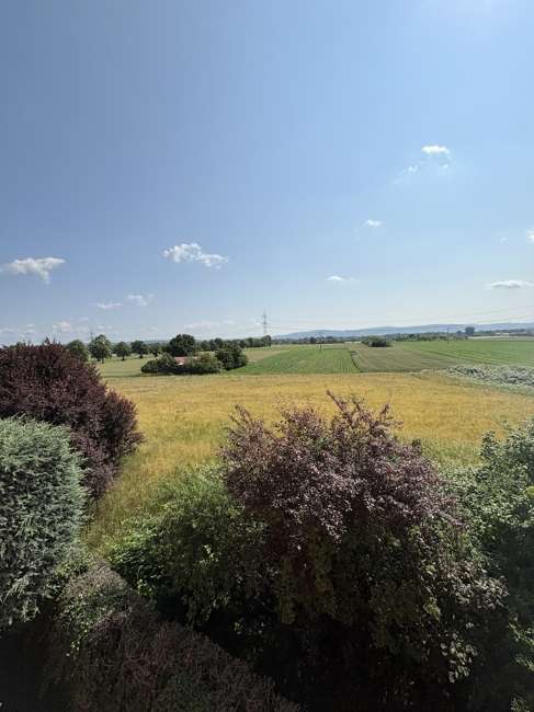 Thumbnail-Haus zum Kaufen in Hainburg 460.000,00 € 160 m²