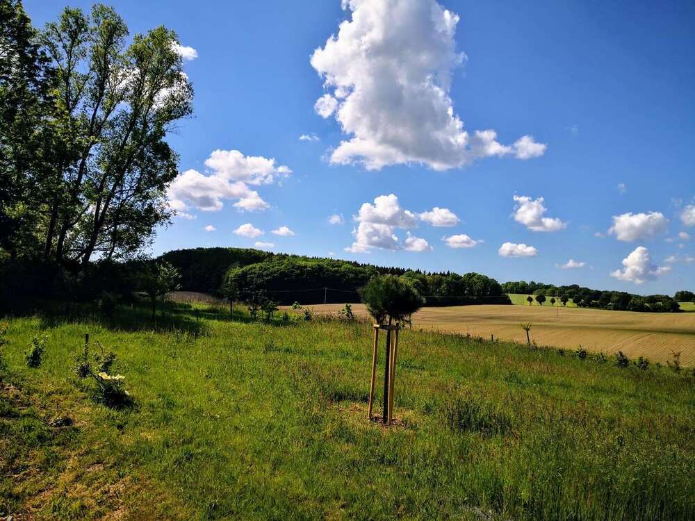 Thumbnail-Grundstück zu verkaufen in Satow 195.000,00 € 2000 m²