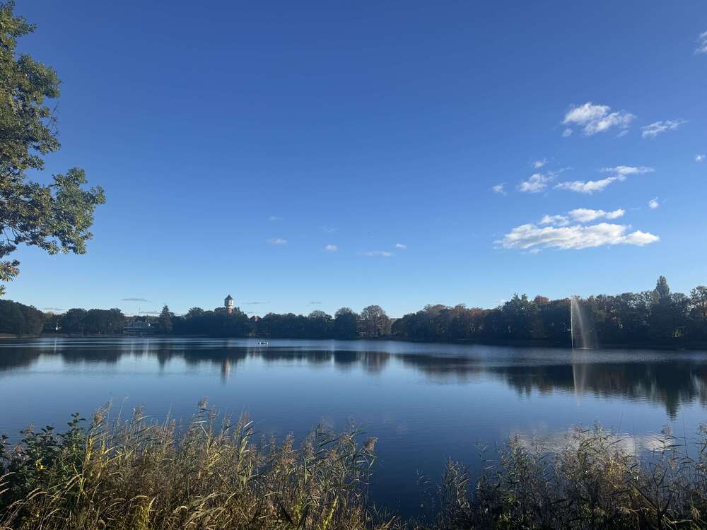 Thumbnail-Wohnung zum Mieten in Neustrelitz 718,00 € 90 m²
