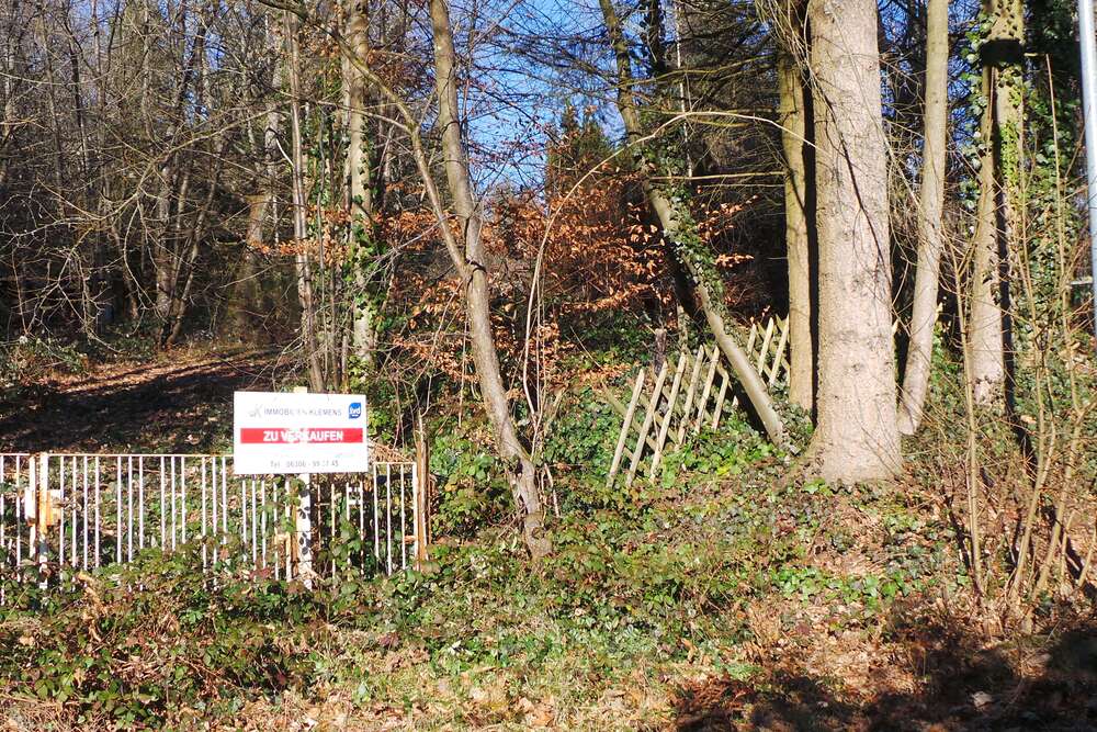 Thumbnail-Grundstück zu verkaufen in Trippstadt 190.000,00 € 1000 m²