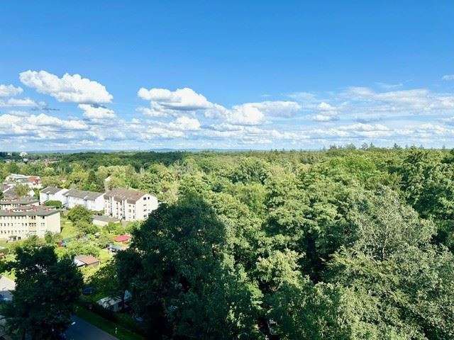 Thumbnail-Wohnung zum Mieten in Offenbach 600,00 € 37 m²