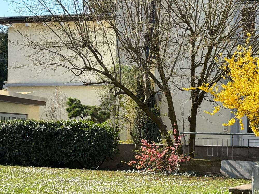 Thumbnail-Wohnung zum Kaufen in Schwetzingen 229.000,00 € 76 m²