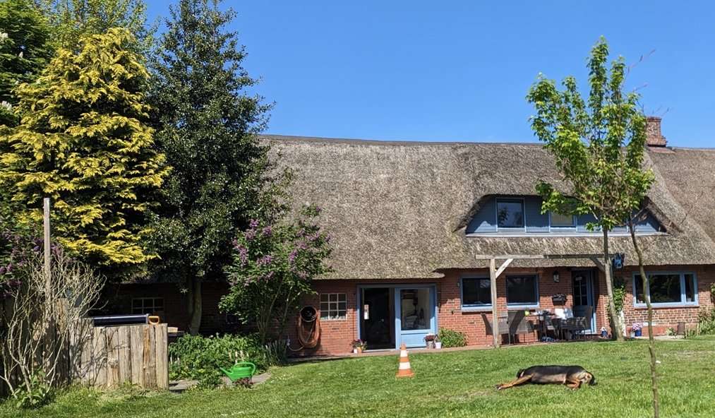 Thumbnail-Haus zum Kaufen in Langenhorn 229.000,00 € 182 m²