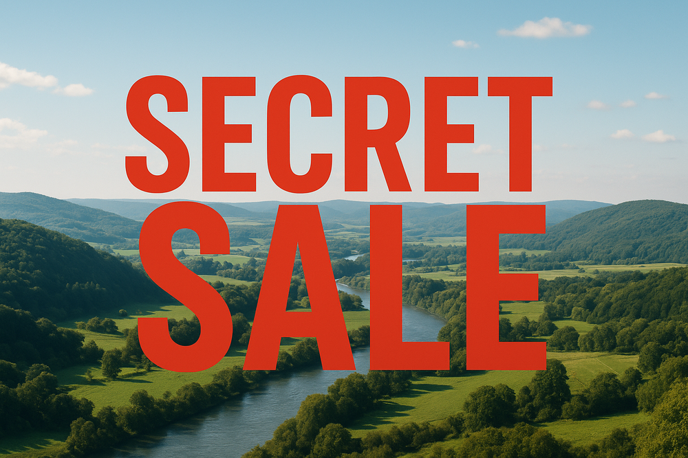 Thumbnail-Haus zum Kaufen in Beverungen 298.000,00 € 214 m²