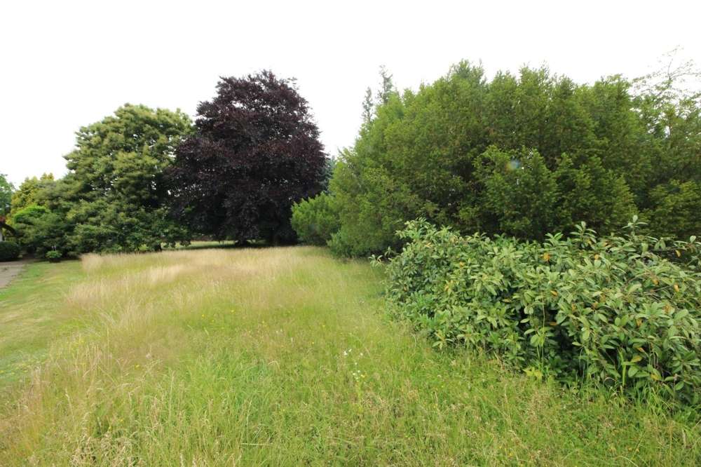 Thumbnail-Grundstück zu verkaufen in Limbach 75.000,00 € 1181 m²