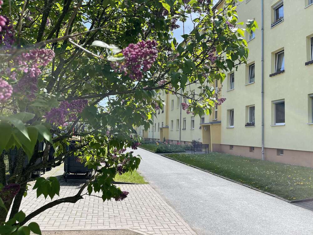 Thumbnail-Wohnung zum Kaufen in Pirna 80.000,00 € 50.5 m²