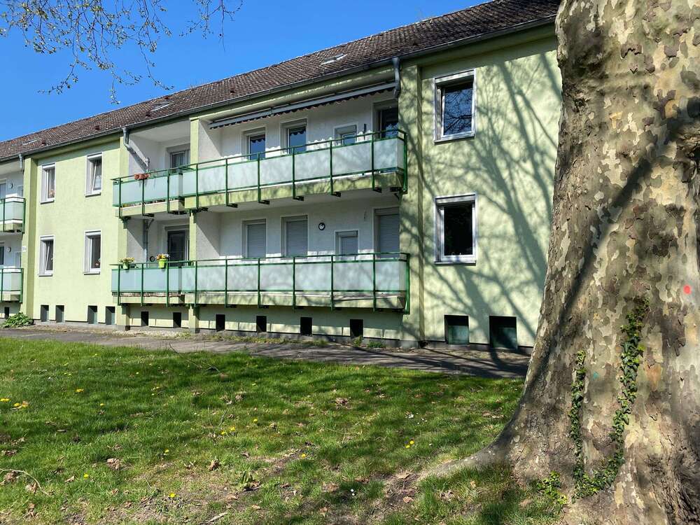 Thumbnail-Wohnung zum Mieten in Recklinghausen 437,19 € 56.05 m²