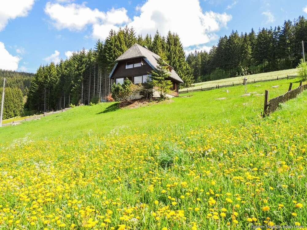 Thumbnail-Haus zum Kaufen in Titisee-Neustadt 749.000,00 € 101 m²