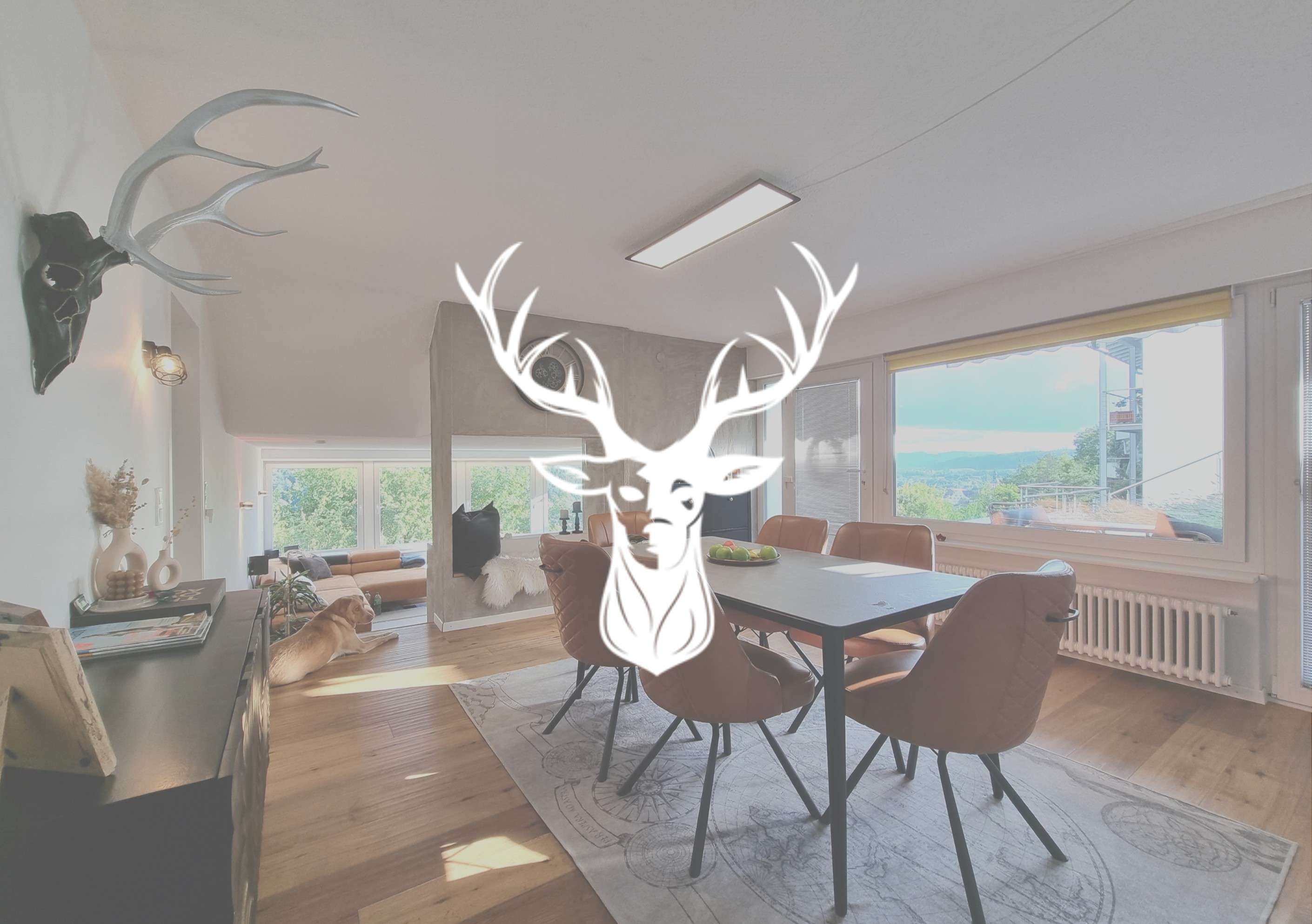 Thumbnail-Wohnung zum Kaufen in Waldshut-Tiengen 749.000,00 € 224 m²