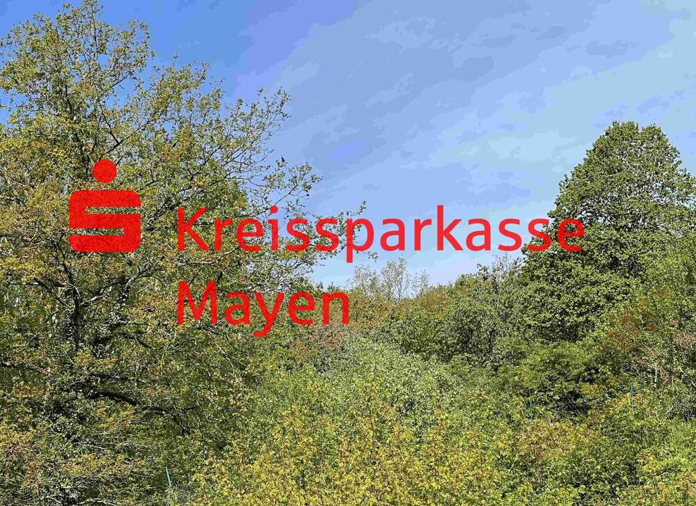 Thumbnail-Grundstück zu verkaufen in Mayen 189.000,00 € 1176 m²