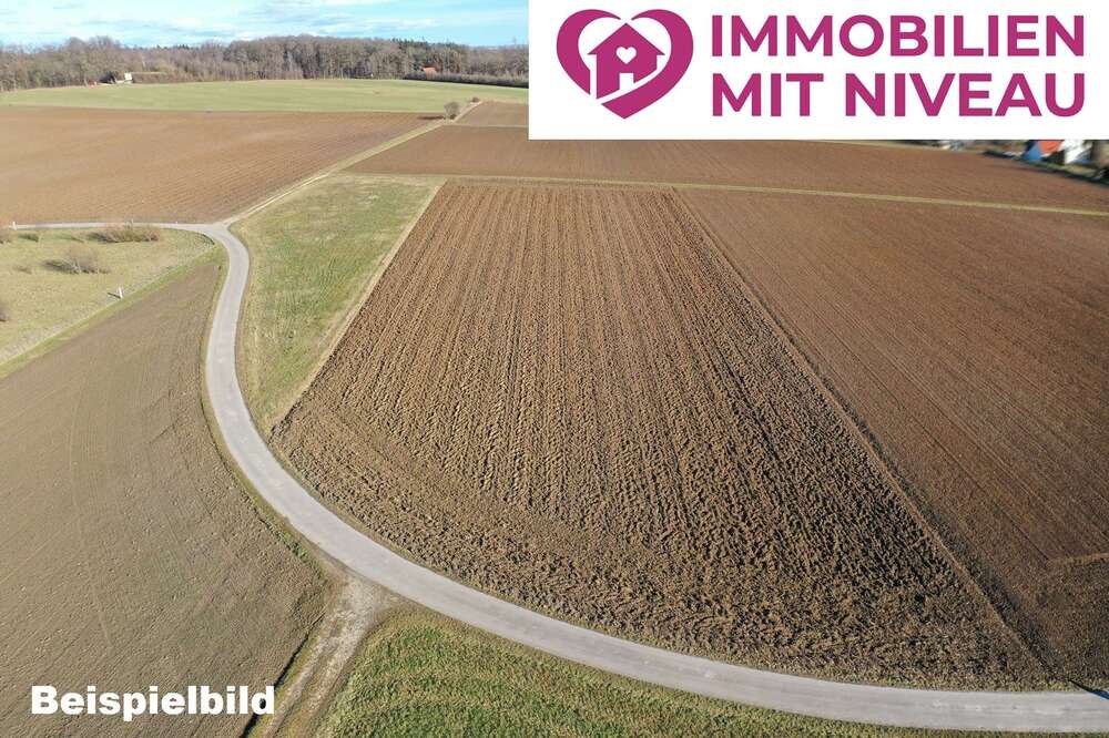 Thumbnail-Grundstück in Donaualtheim 161.000,00 € 14660 m²