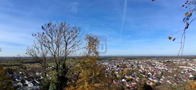 Thumbnail-Grundstück zu verkaufen in Weingarten 399.000,00 € 683 m²