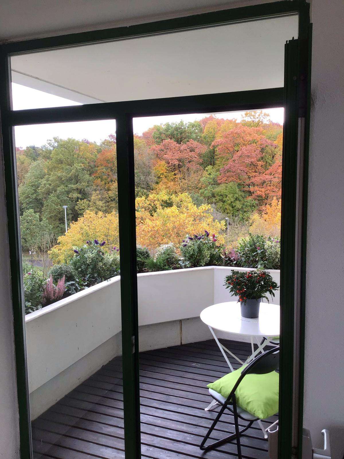 Thumbnail-Wohnung zum Kaufen in Darmstadt 179.900,00 € 63 m²