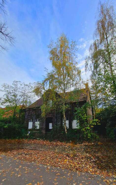 Thumbnail-Haus zum Kaufen in Gelsenkirchen 418.600,00 € 100 m²