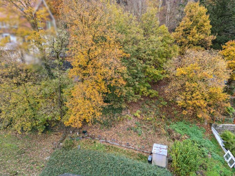 Thumbnail-Grundstück zu verkaufen in Wuppertal 235.000,00 € 1555 m²