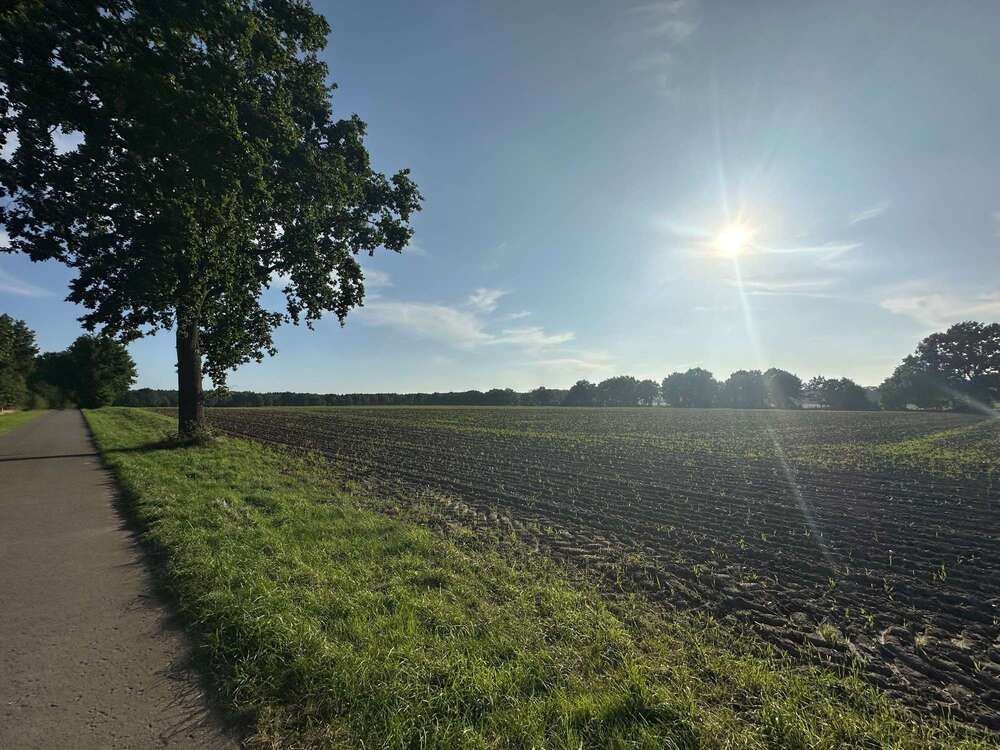 Thumbnail-Haus zum Kaufen in Toppenstedt 525.000,00 € 206 m²