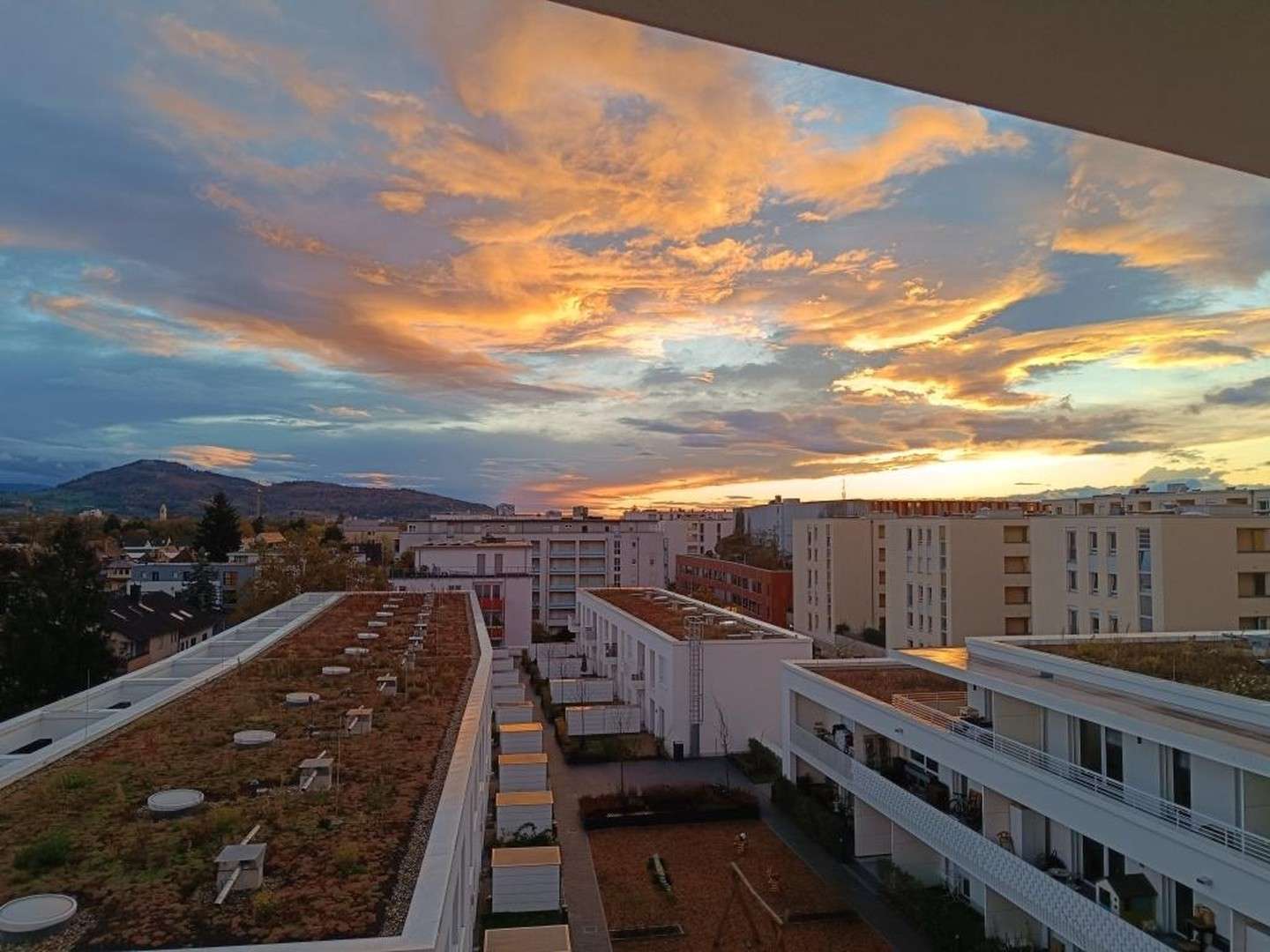 Thumbnail-Wohnung zum Mieten in Freiburg im Breisgau 510,00 € 36 m²