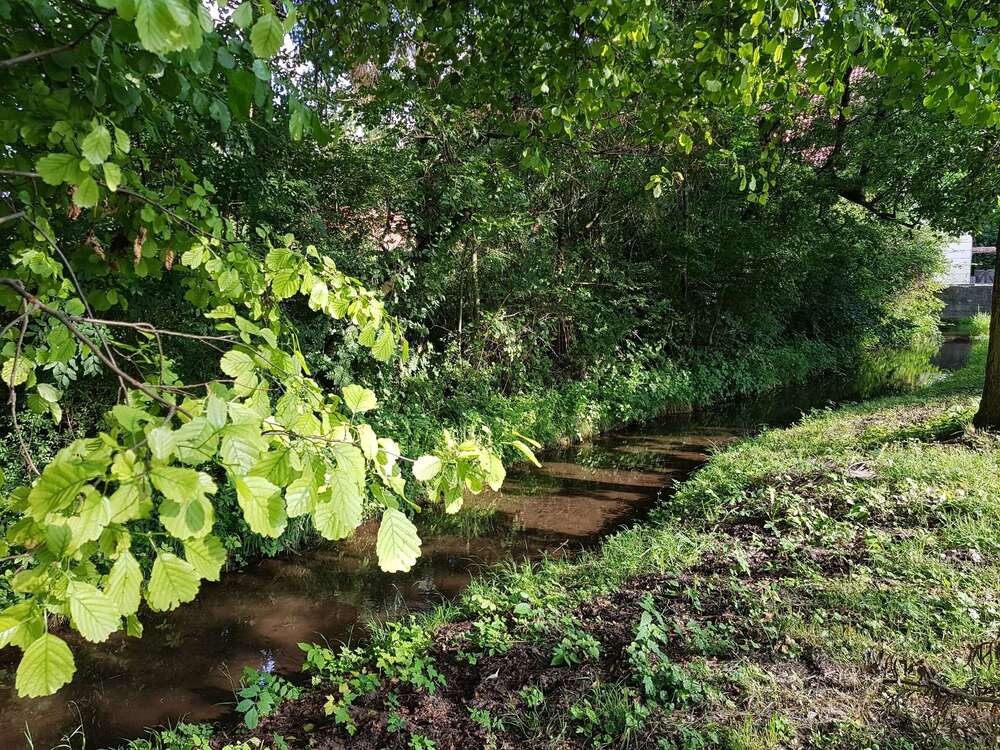 Thumbnail-Wohnung zum Mieten in München 1.550,00 € 71.1 m²