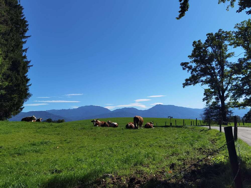 Thumbnail-Haus zum Kaufen in Penzberg 2.600.000,00 € 215 m²