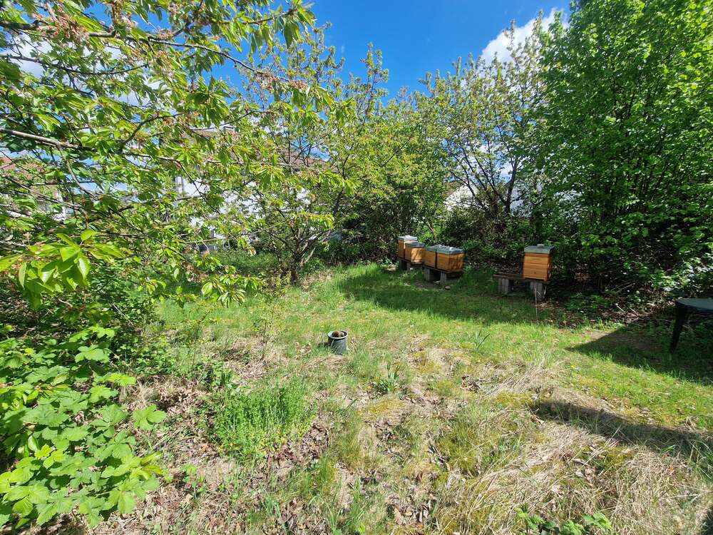 Thumbnail-Grundstück zu verkaufen in Dreieich 589.094,00 € 530 m²