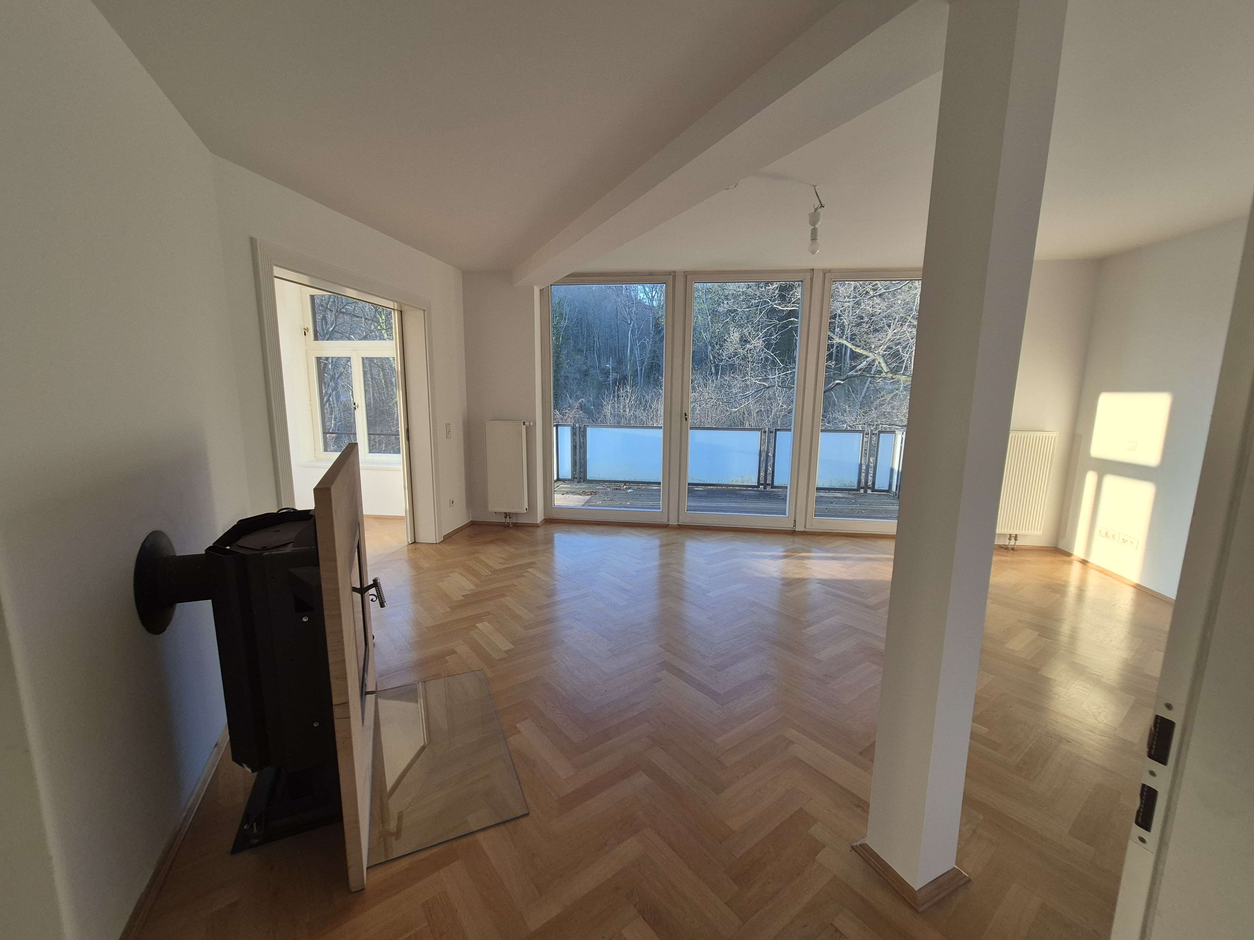 Thumbnail-Wohnung zum Mieten in Radebeul 1.950,00 € 170 m²