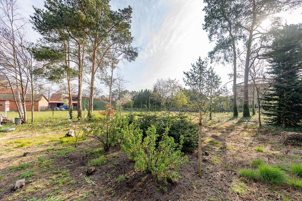 Thumbnail-Grundstück zu verkaufen in Winsen OT Bahlburg 149.000,00 € 578 m²