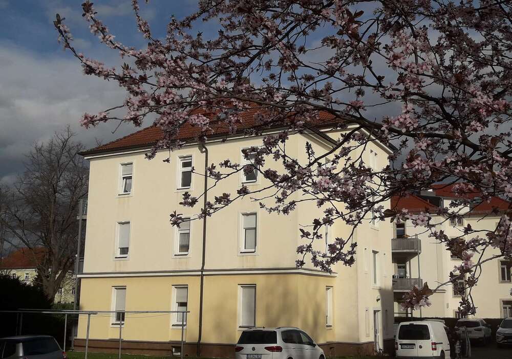 Thumbnail-Wohnung zum Mieten in Heidenau 485,00 € 70 m²