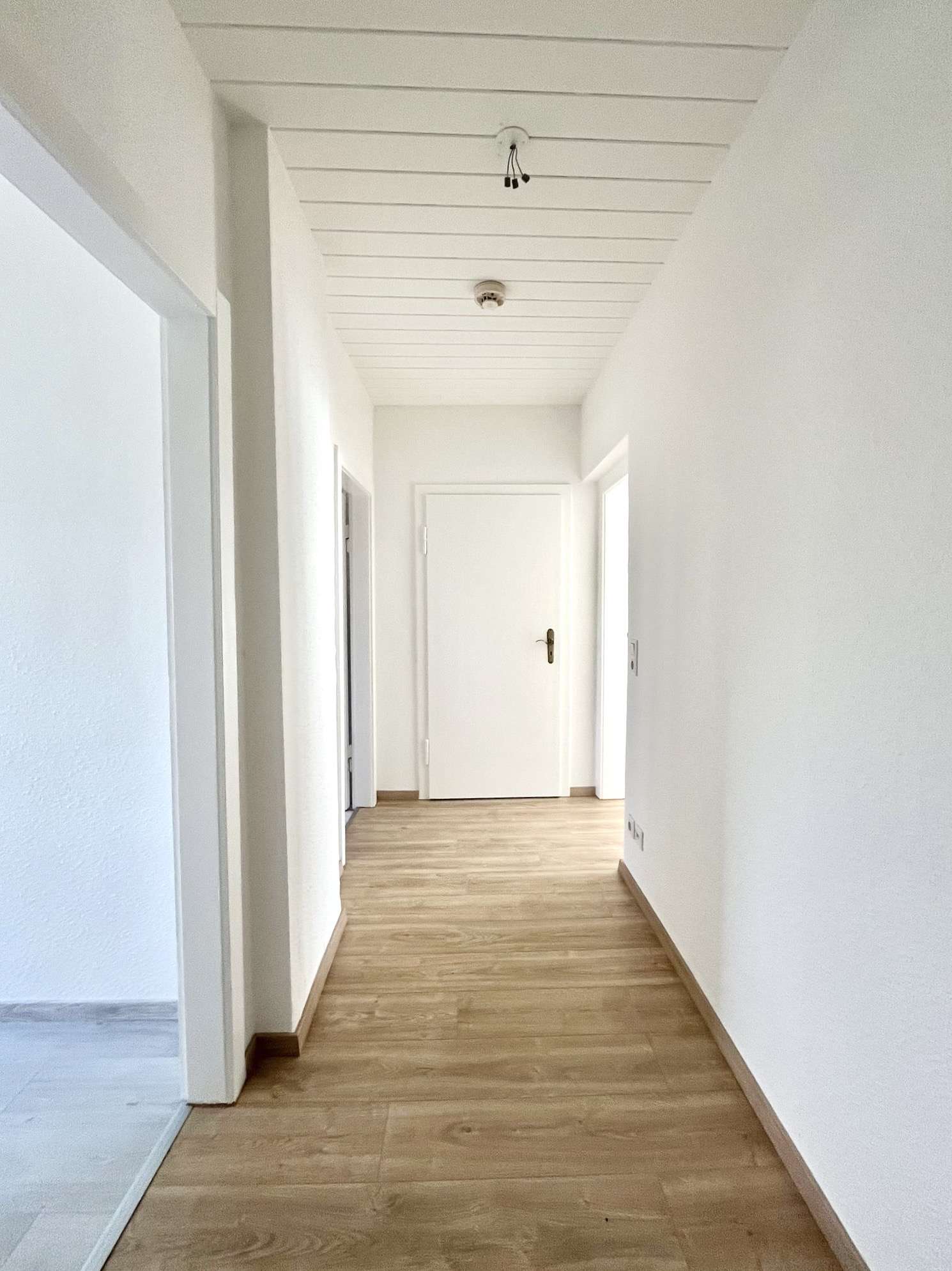 Thumbnail-Wohnung zum Mieten in Bitterfeld 362,16 € 50.3 m²
