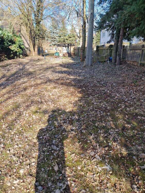 Thumbnail-Grundstück zu verkaufen in Parthenstein 150.000,00 € 1655 m²