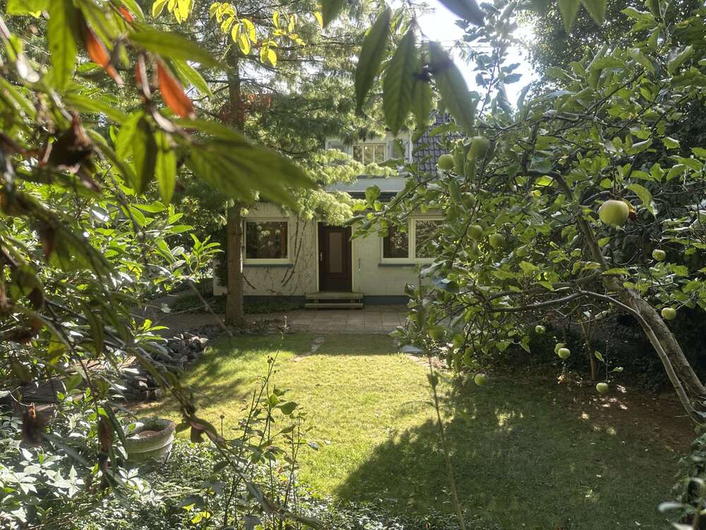 Thumbnail-Haus zum Kaufen in Frankfurt am Main Sossenheim 639.000,00 € 124 m²