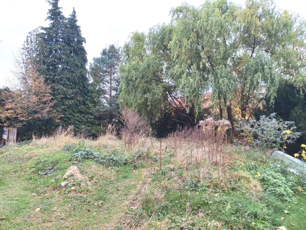 Thumbnail-Grundstück zu verkaufen in Dresden 121.900,00 € 530 m²