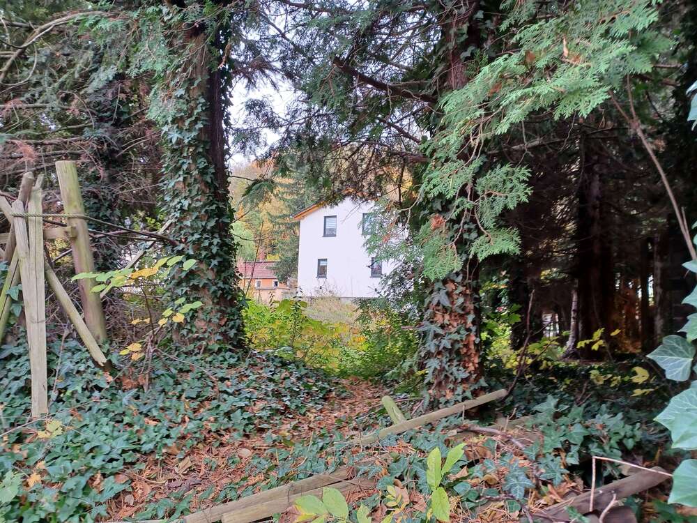 Thumbnail-Grundstück zu verkaufen in Dresden 121.900,00 € 530 m²