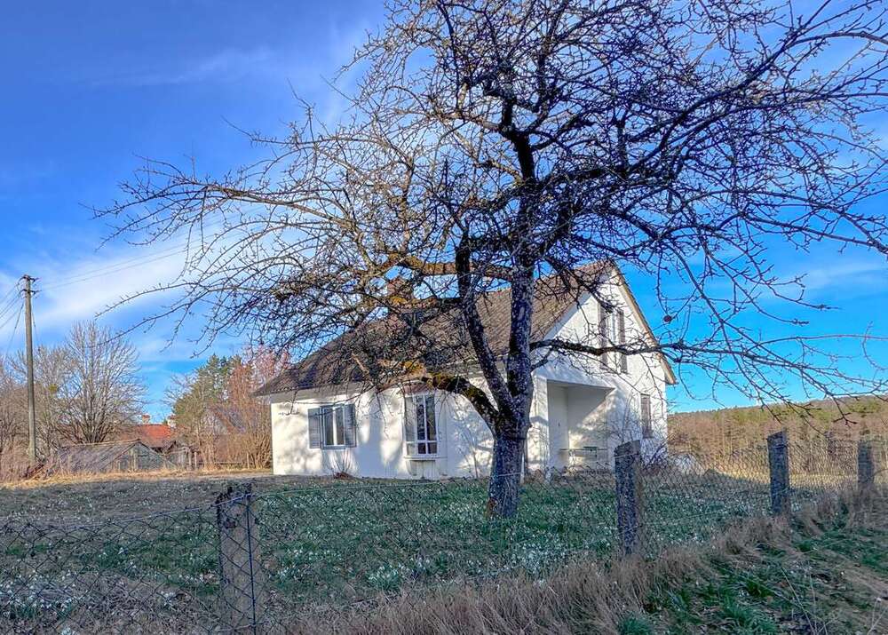 Thumbnail-Haus zum Kaufen in Berg 1.750.000,00 € 150 m²