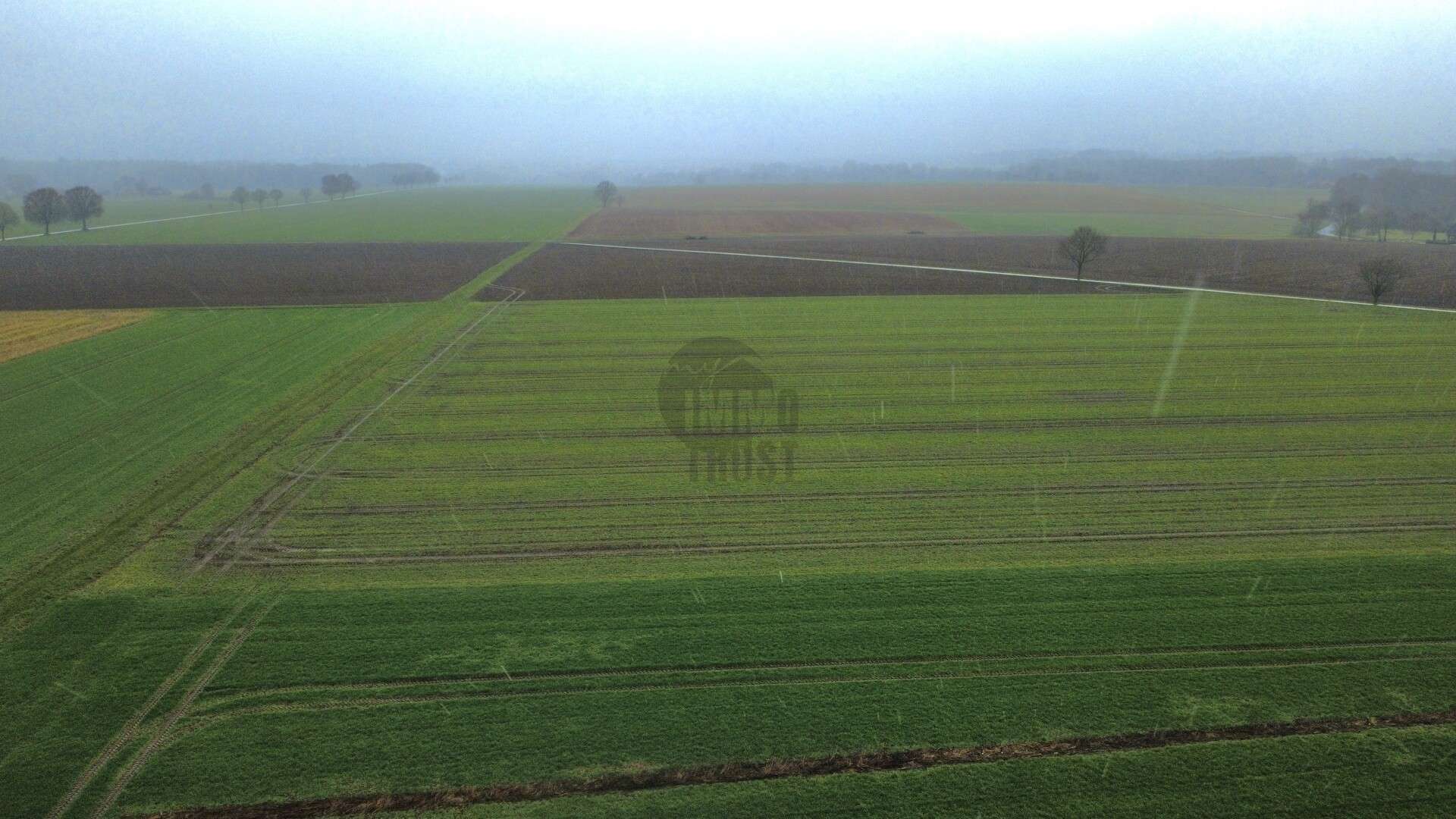 Thumbnail-Grundstück zu verkaufen in Bassum 79.900,00 € 1200 m²