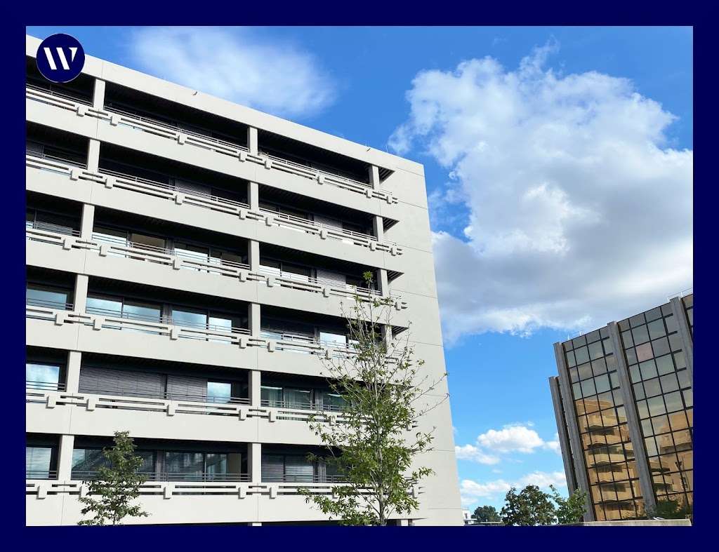 Thumbnail-Wohnung zum Mieten in Frankfurt am Main 1.510,00 € 90 m²