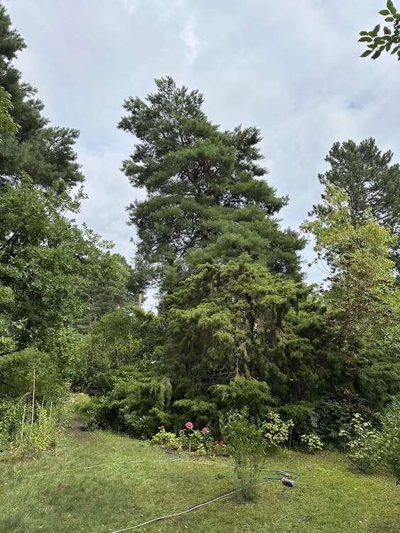 Thumbnail-Grundstück zu verkaufen in Berlin 399.000,00 € 1022 m²