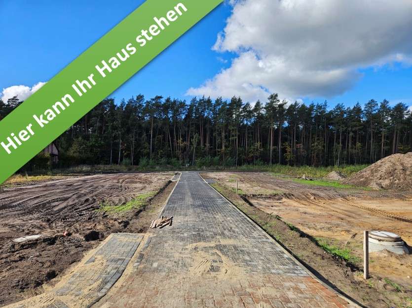 Thumbnail-Haus zum Kaufen in Hambühren 410.290,00 € 130 m²