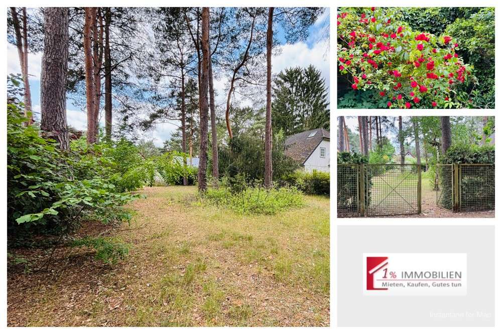 Thumbnail-Grundstück zu verkaufen in Dahlwitz-Hoppegarten 215.000,00 € 438 m²