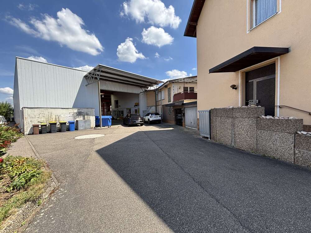 Thumbnail-Haus zum Kaufen in Baden-Baden 1.490.000,00 € 263 m²