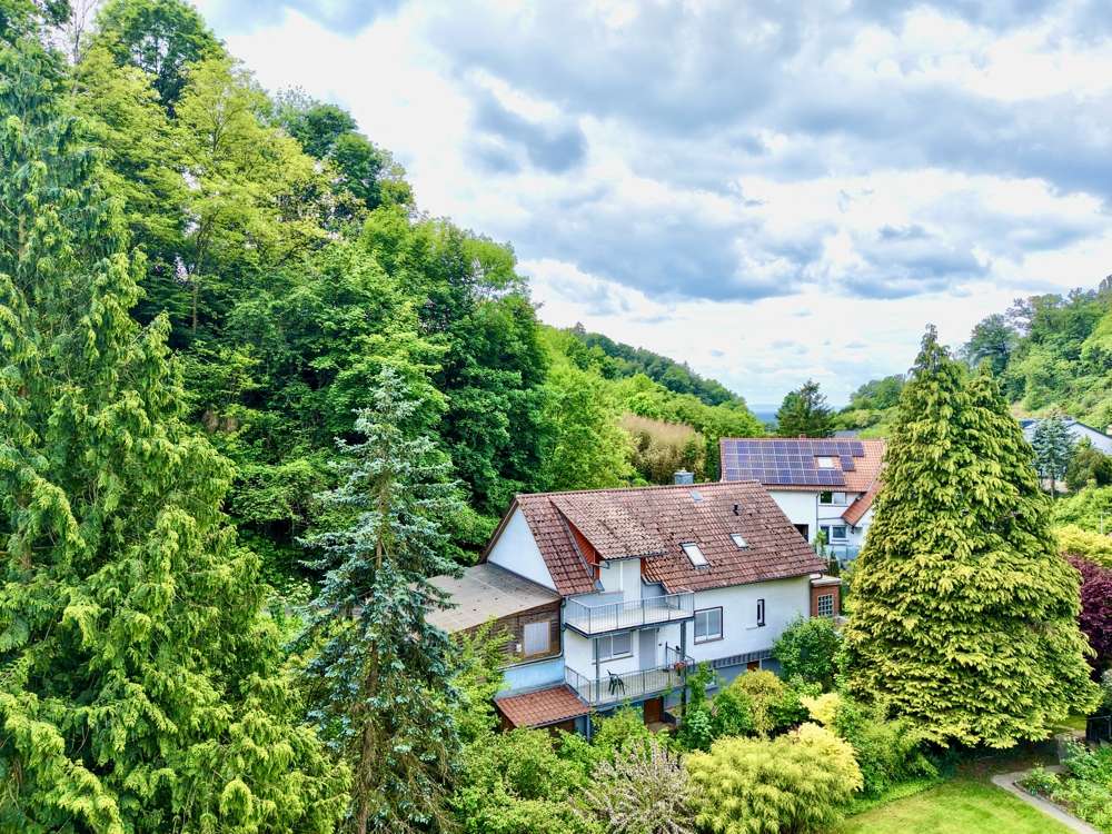 Thumbnail-Haus zum Kaufen in Laudenbach 349.500,00 € 146 m²