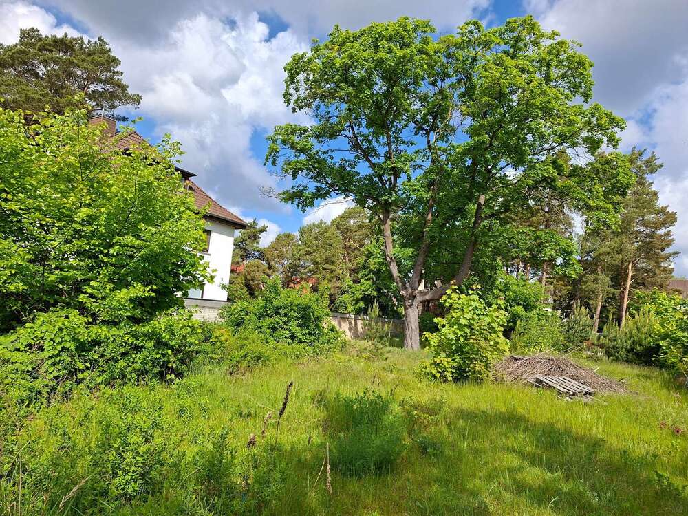 Thumbnail-Grundstück zu verkaufen in Oranienburg 275.000,00 € 731 m²