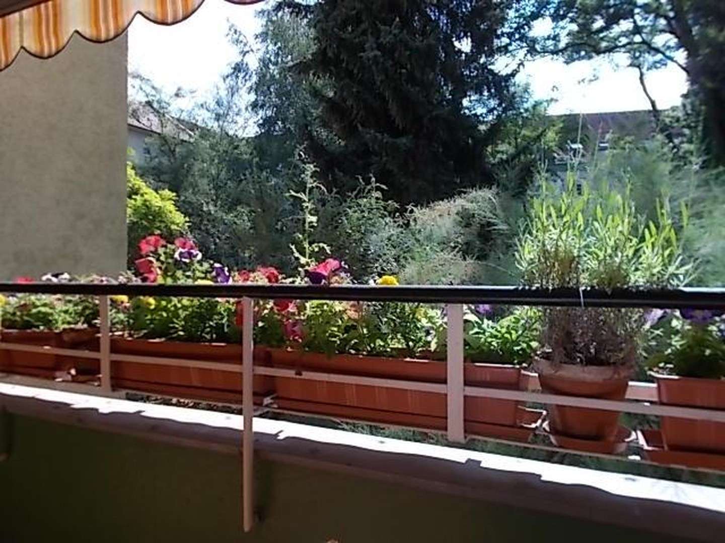 Thumbnail-Wohnung zum Kaufen in Berlin 299.000,00 € 62 m²