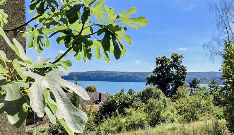 Thumbnail-Haus zum Kaufen in Überlingen 2.700.000,00 € 252.57 m²
