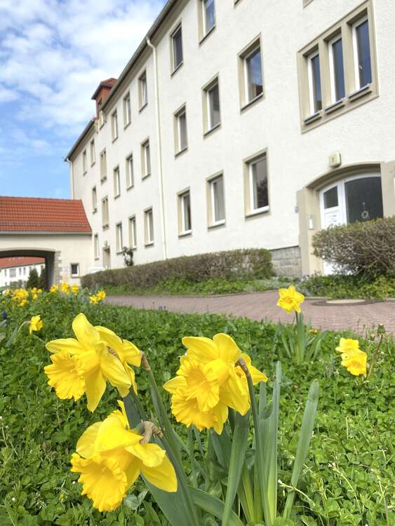 Thumbnail-Wohnung zum Mieten in Aue-Bad Schlema 389,52 € 64.92 m²