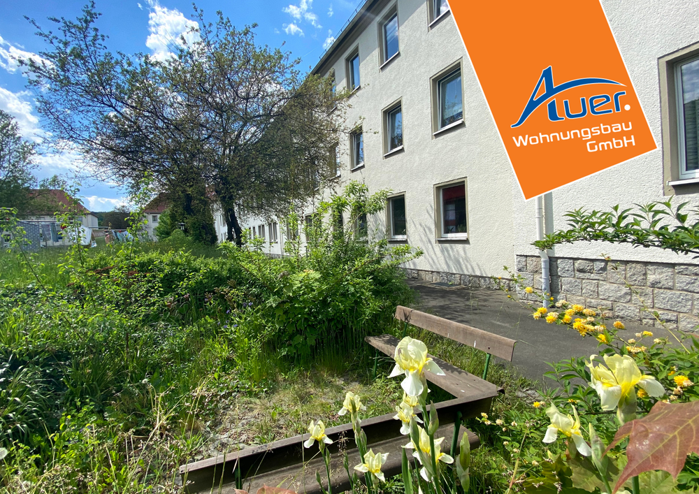 Thumbnail-Wohnung zum Mieten in Aue-Bad Schlema 389,52 € 64.92 m²