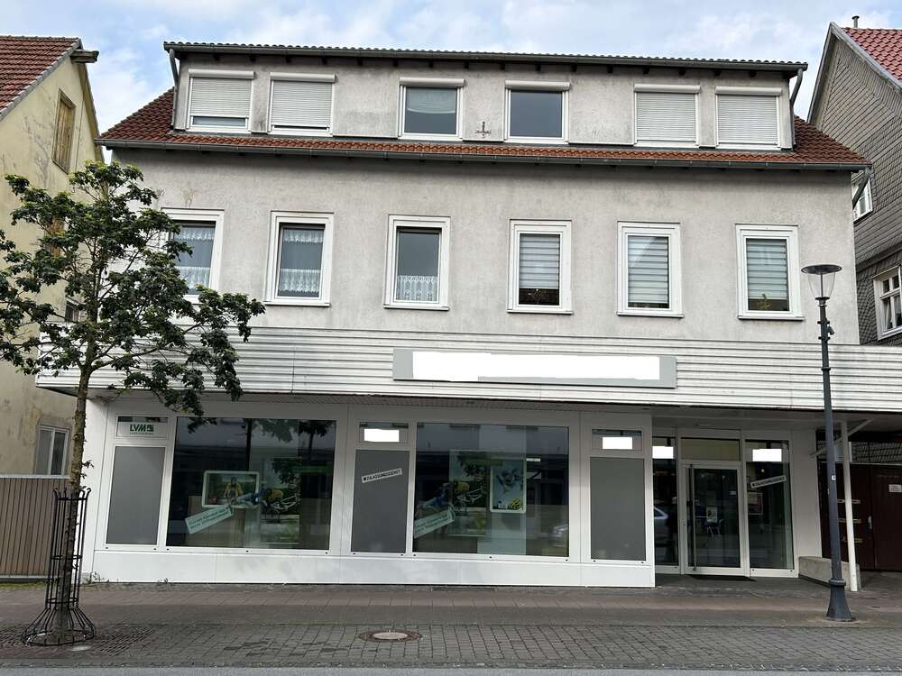 Thumbnail-Haus zum Kaufen in Marsberg 580.000,00 € 205 m²