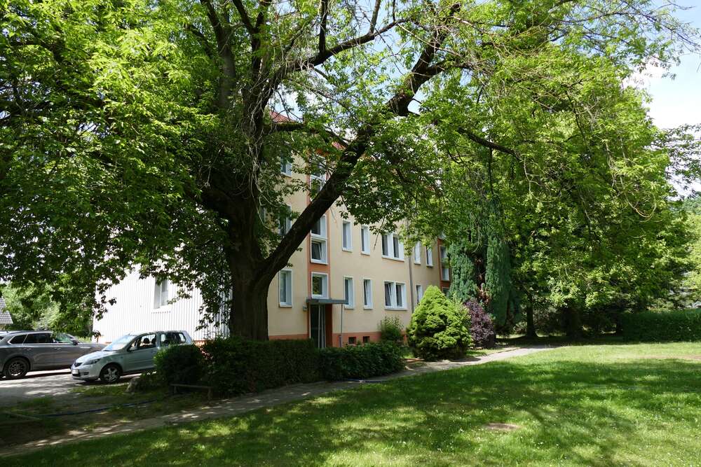 Thumbnail-Wohnung zum Mieten in Groß Döbbern 450,00 € 69 m²
